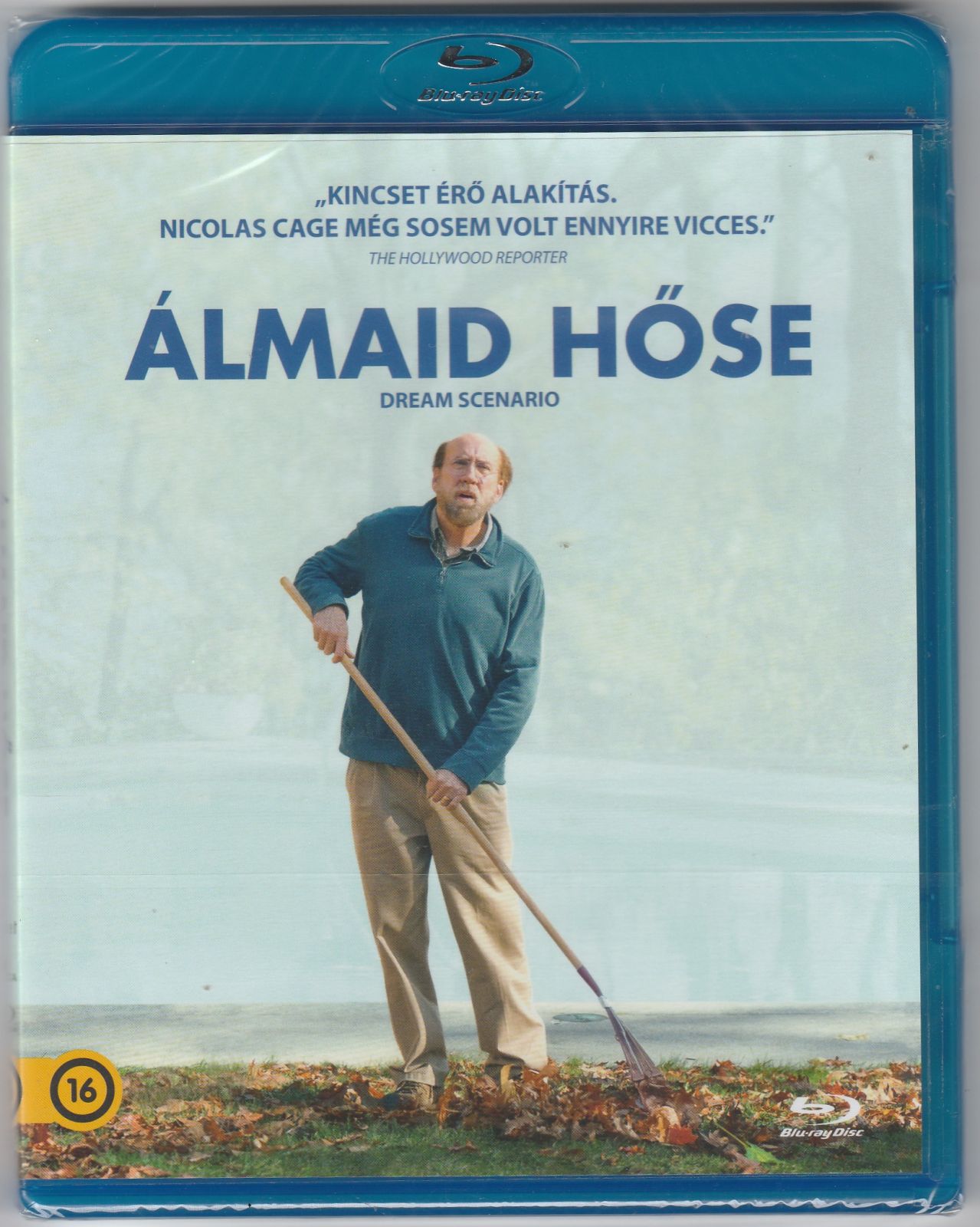 Álmaid hőse