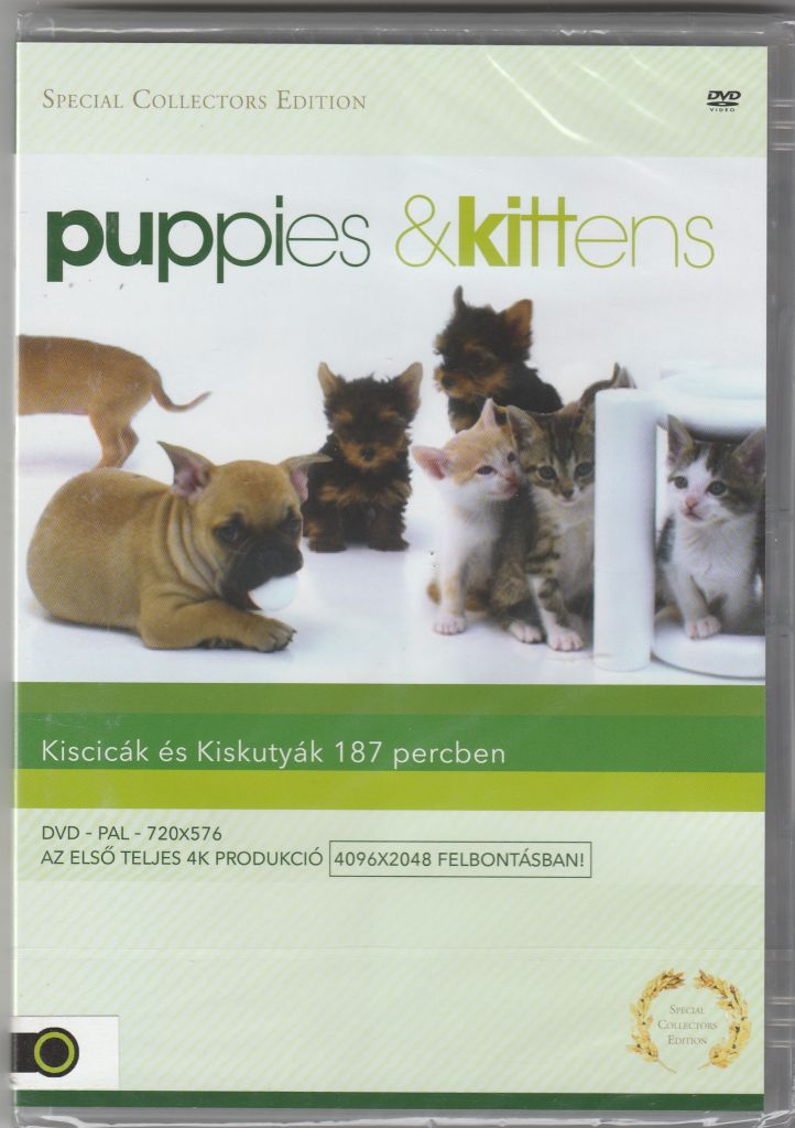 Puppies & Kittens - Kiscicák és kiskutyák